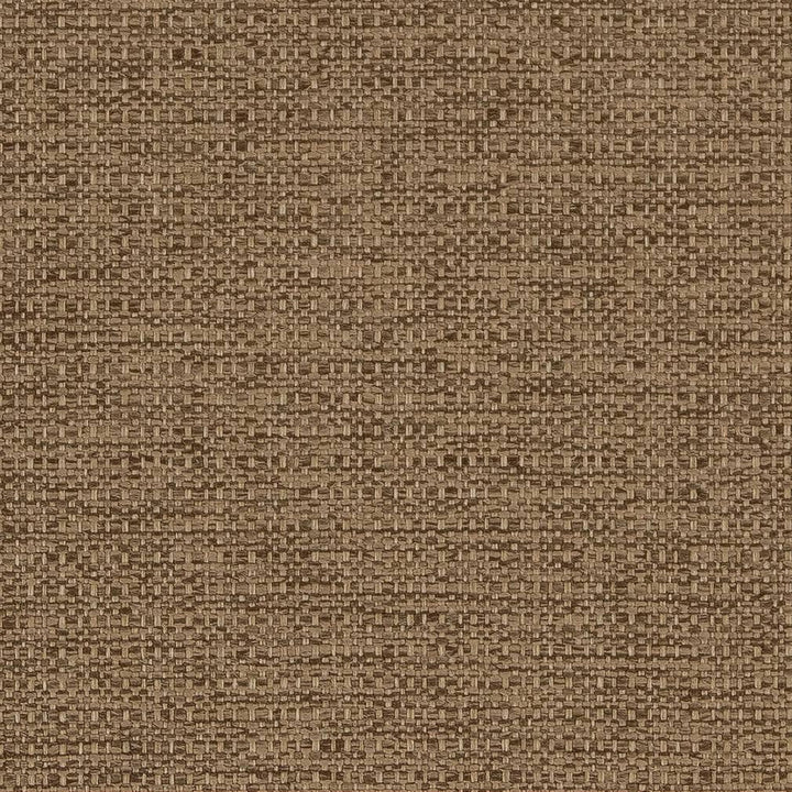 D1981 Sandalwood by Charlotte Designer Fabric Rustic Wovens 100% Polypropylene Made In USA Exceeds 60,000 Wyzenbeek Rubs (Heavy Duty) </p><p>Repeat: 54 Inches - Swanky Fabrics -
