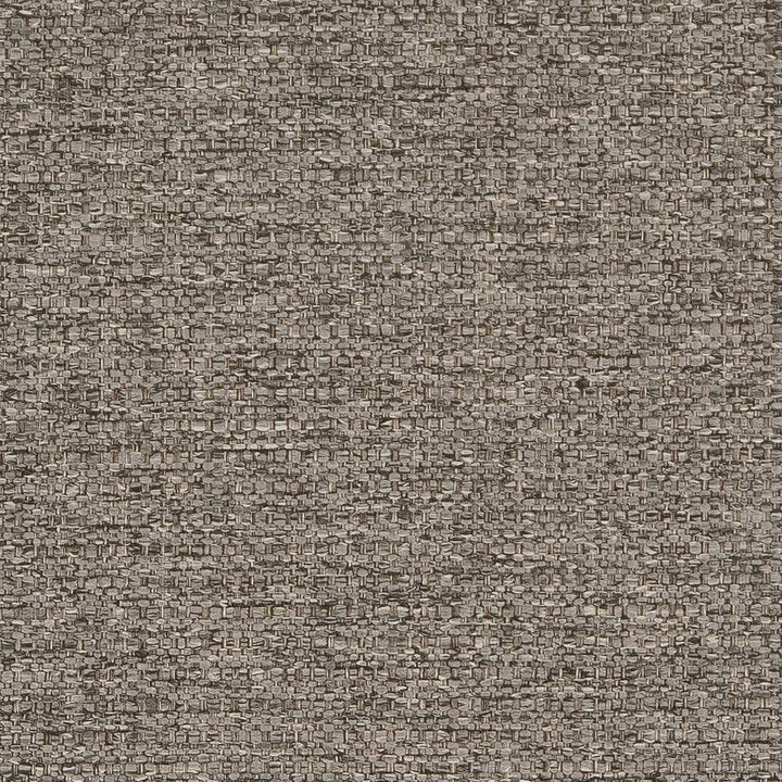 D1991 Mineral by Charlotte Designer Fabric Rustic Wovens 100% Polypropylene Made In USA Exceeds 60,000 Wyzenbeek Rubs (Heavy Duty) </p><p>Repeat: 54 Inches - Swanky Fabrics -