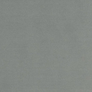D2092 Flannel by Charlotte Designer Fabric