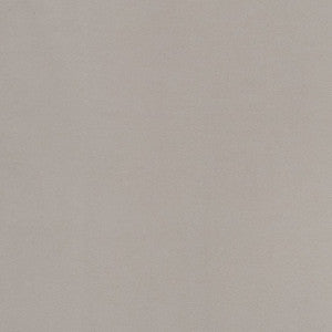 D2100 Silver by Charlotte Designer Fabric