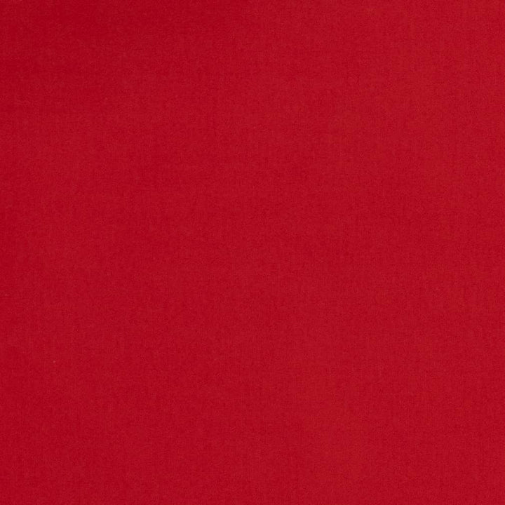 D2109 Lipstick by Charlotte Designer Fabric Microfiber IV 100% Woven Polyester Asia Exceeds 100,000 Wyzenbeek Rubs (Heavy Duty) </p><p>Repeat: 54 Inches - Swanky Fabrics -