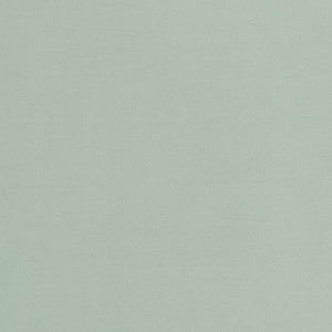 D2110 Seafoam by Charlotte Designer Fabric