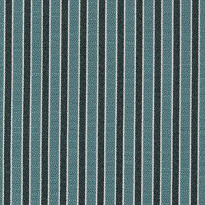 D2129 Aqua Stripe by Charlotte Designer Fabric