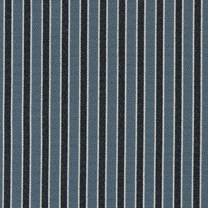 D2133 River Stripe by Charlotte Designer Fabric
