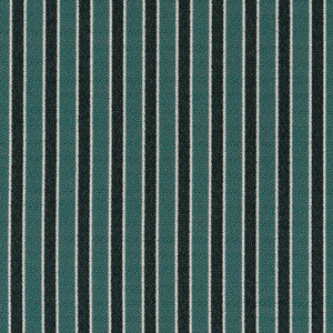 D2137 Jade Stripe by Charlotte Designer Fabric