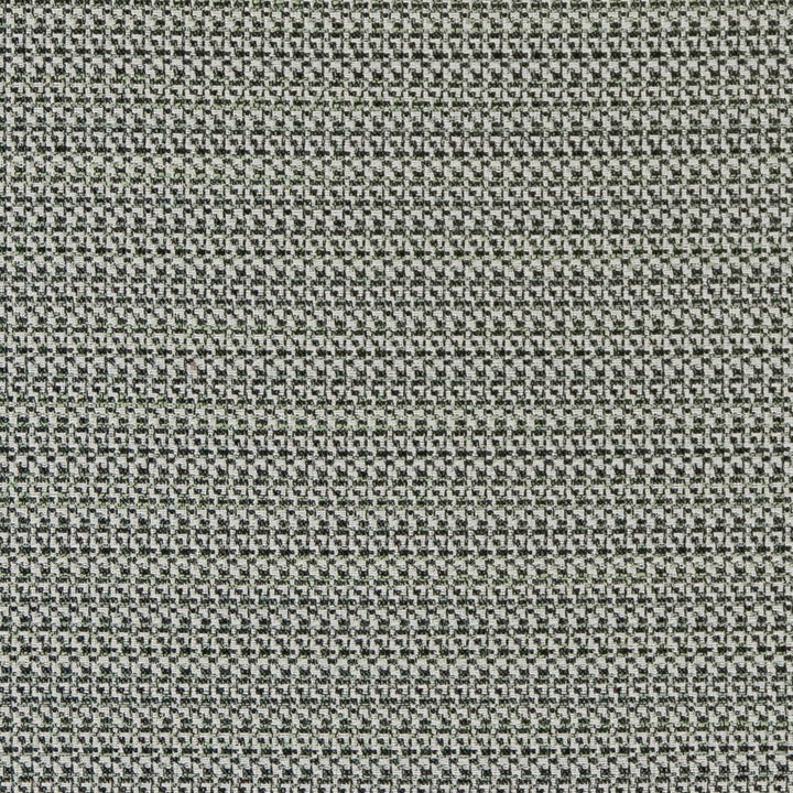 D2186 Spring Texture by Charlotte Designer Fabric Small Scale Patterns 100% Woven Polyester Asia Exceeds 100,000 Wyzenbeek Rubs (Heavy Duty) </p><p>Repeat: 54 Inches - Swanky Fabrics -