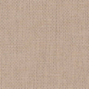 D2225 Zinc by Charlotte Designer Fabric
