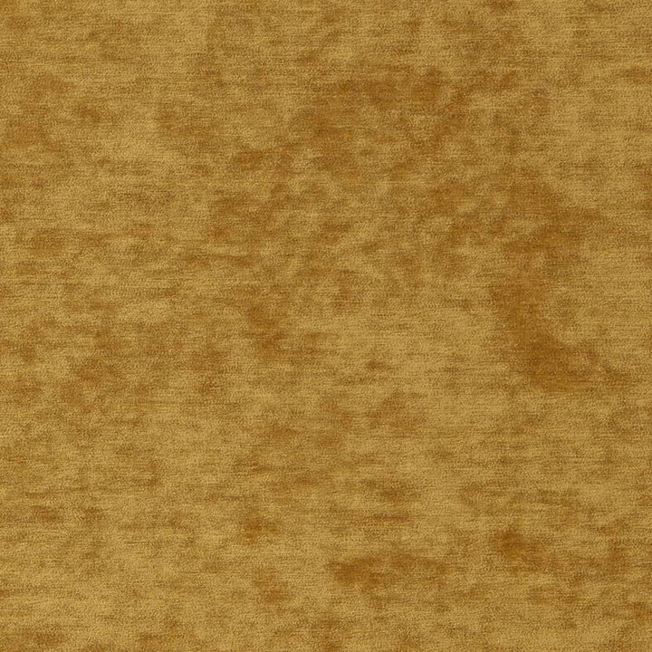 D2257 Golden by Charlotte Designer Fabric Crypton Posh 100% Polyester Asia Exceeds 100,000 Wyzenbeek Rubs (Heavy Duty) </p><p>Repeat: 54 Inches - Swanky Fabrics -