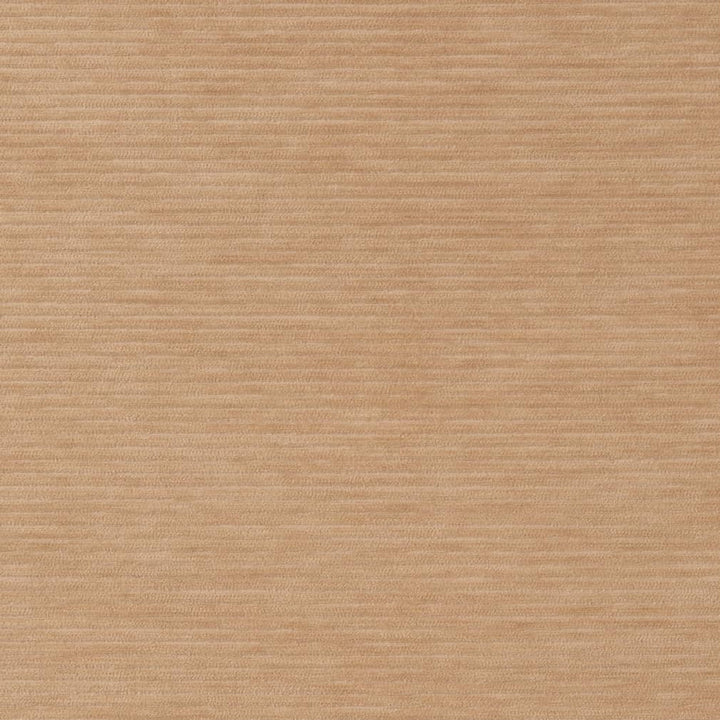 D2288 Cashew by Charlotte Designer Fabric Crypton Coastal 100% Polyester Asia Exceeds 100,000 Wyzenbeek Rubs (Heavy Duty) </p><p>Repeat: 54 Inches - Swanky Fabrics -