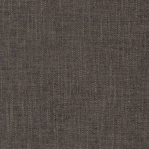 D2309 Graphite by Charlotte Designer Fabric