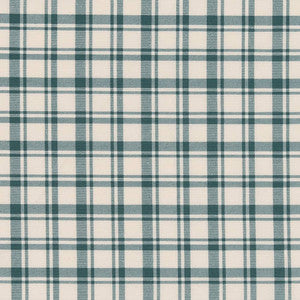 D2391 Teal by Charlotte Designer Fabric