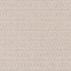 D2409 Aluminum by Charlotte Designer Fabric