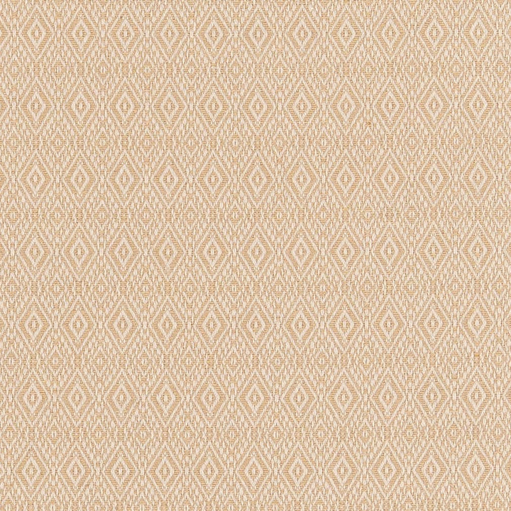D2411 Oat by Charlotte Designer Fabric Crypton Patterns 70% Cotton, 30% Polyester Made in USA Exceeds 80,000 Wyzenbeek Rubs (Heavy Duty) </p><p>Repeat: Horizontal 1" x Vertical 1" 54 Inches - Swanky Fabrics -
