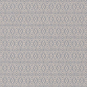 D2413 Denim by Charlotte Designer Fabric