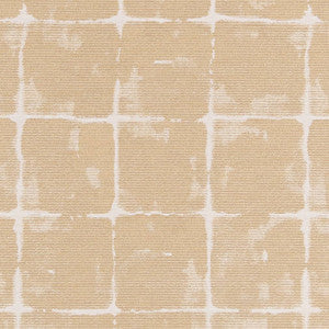 D2437 Sand Dollar by Charlotte Designer Fabric