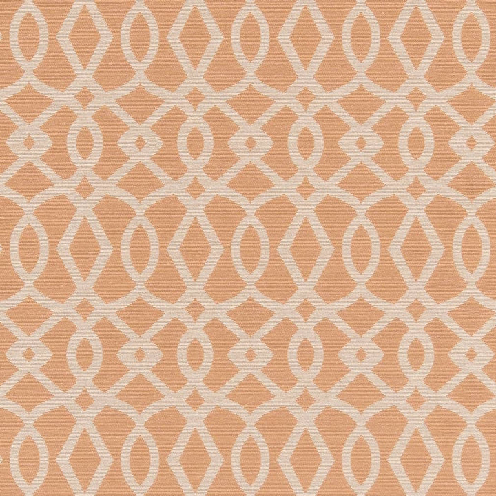 D2442 Peach by Charlotte Designer Fabric Crypton Patterns 51% Polyester, 49% Cotton Made in USA Exceeds 90,000 Wyzenbeek Rubs (Heavy Duty) </p><p>Repeat: Horizontal 4" x Vertical 6.75" 54 Inches - Swanky Fabrics -