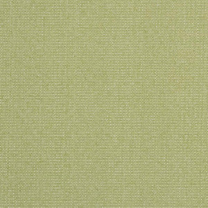 D2521 Pear by Charlotte Designer Fabric