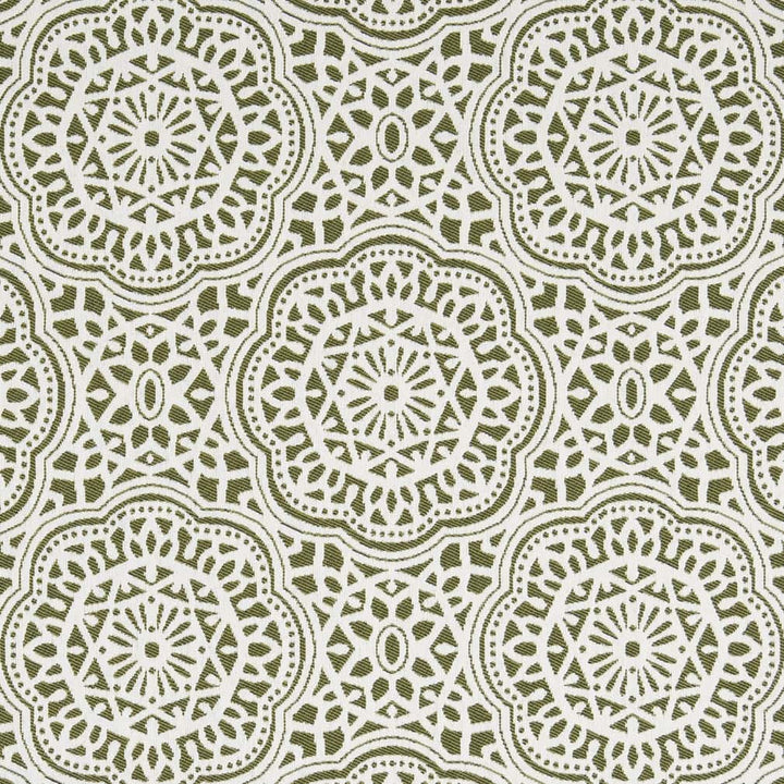 D2547 Fern by Charlotte Designer Fabric Veranda 100% Polypropylene USA Exceeds 60,000 Wyzenbeek Rubs </p><p>Repeat: Horizontal 13" x Vertical 14" 54 Inches - Swanky Fabrics -