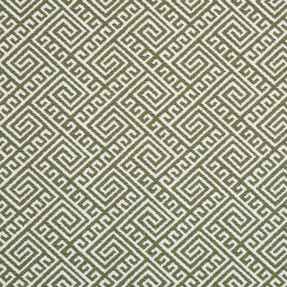 D2553 Lime by Charlotte Designer Fabric Veranda 100% Polypropylene USA Exceeds 60,000 Wyzenbeek Rubs </p><p>Repeat: Horizontal 4.5" x Vertical 3.5" 54 Inches - Swanky Fabrics -