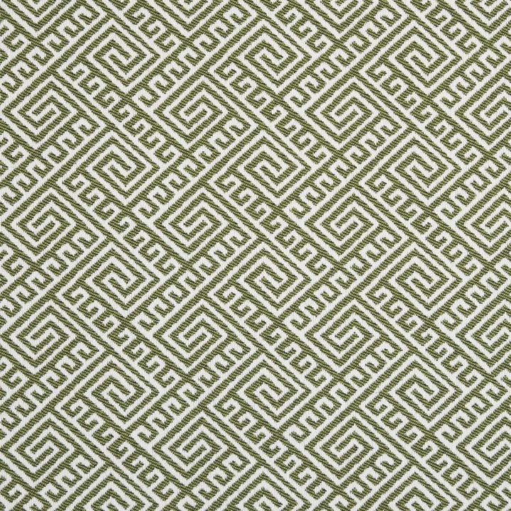 D2553 Lime by Charlotte Designer Fabric Veranda 100% Polypropylene USA Exceeds 60,000 Wyzenbeek Rubs </p><p>Repeat: Horizontal 4.5" x Vertical 3.5" 54 Inches - Swanky Fabrics -