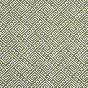 D2553 Lime by Charlotte Designer Fabric