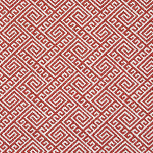 D2555 Watermelon by Charlotte Designer Fabric