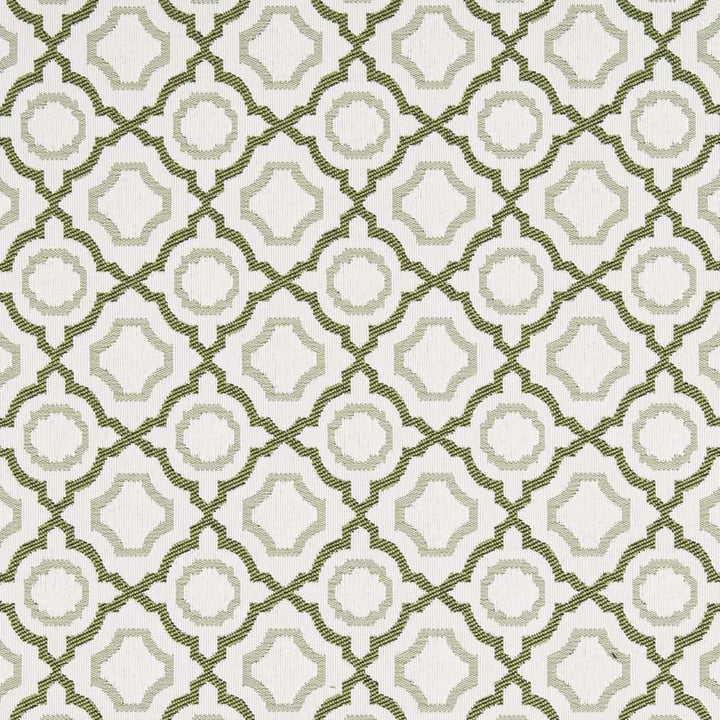 D2559 Avocado by Charlotte Designer Fabric Veranda 100% Polypropylene USA Exceeds 60,000 Wyzenbeek Rubs </p><p>Repeat: Horizontal 3.5" x Vertical 3.5" 54 Inches - Swanky Fabrics -