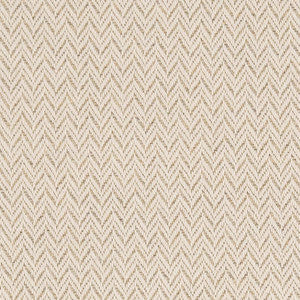 D2584 Chevron Sand by Charlotte Designer Fabric