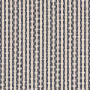 D2588 Ticking Navy by Charlotte Designer Fabric
