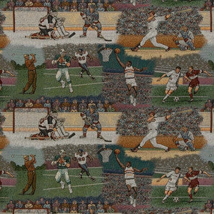 D2681 Sports by Charlotte Designer Fabric