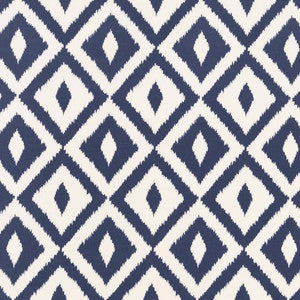 D2711 Denim by Charlotte Designer Fabric