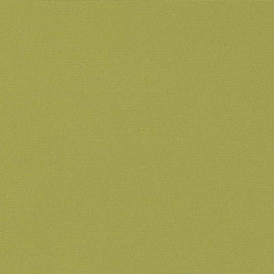 D2804 Kiwi by Charlotte Designer Fabric