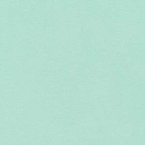D2806 Aqua by Charlotte Designer Fabric