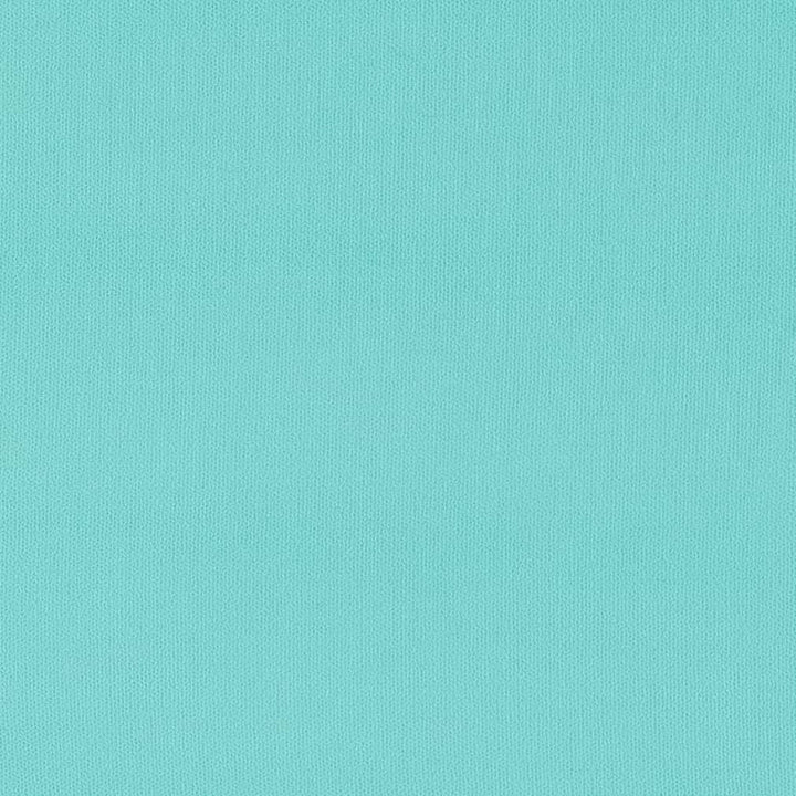 D2816 Seaglass by Charlotte Designer Fabric Patio Plains 100% Solution Dyed Polyester Asia Exceeds 100,000 Wyzenbeek Rubs </p><p>Repeat: 54 Inches - Swanky Fabrics -