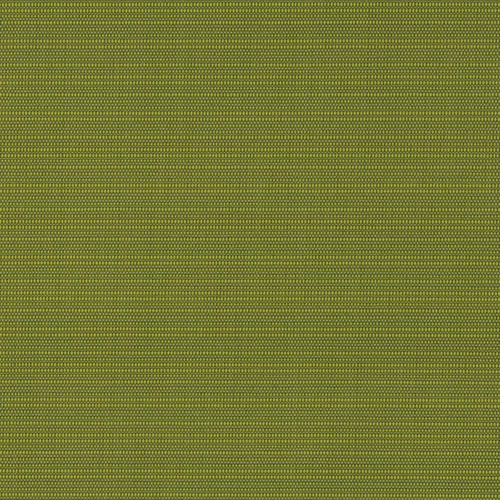 D2844 Grass by Charlotte Designer Fabric Patio Plains 100% Solution Dyed Polypropylene Asia Exceeds 100,000 Wyzenbeek Rubs </p><p>Repeat: 54 Inches - Swanky Fabrics -