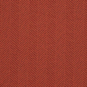 D2881 Carrot by Charlotte Designer Fabric