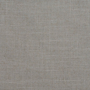 D290 Platinum by Charlotte Designer Fabric