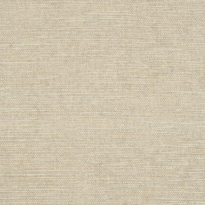 D2969 Bone by Charlotte Designer Fabric Chenille III 100% Polyester Asia Exceeds 30,000 Wyzenbeek Rubs (Heavy Duty) </p><p>Repeat: No Repeat 54 Inches - Swanky Fabrics -