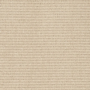 D2987 Putty by Charlotte Designer Fabric