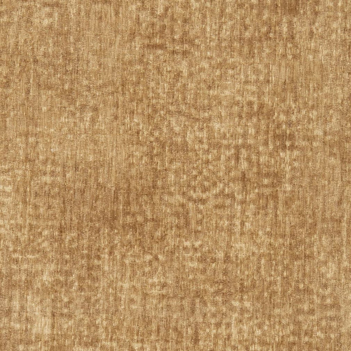 D3001 Camel by Charlotte Designer Fabric Chenille III 100% Polyester Asia Exceeds 30,000 Wyzenbeek Rubs (Heavy Duty) </p><p>Repeat: No Repeat 54 Inches - Swanky Fabrics -