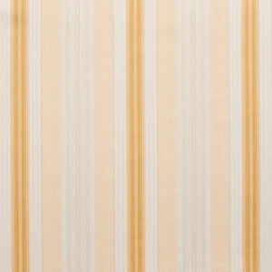D300 Antique Noble Stripe by Charlotte Designer Fabric