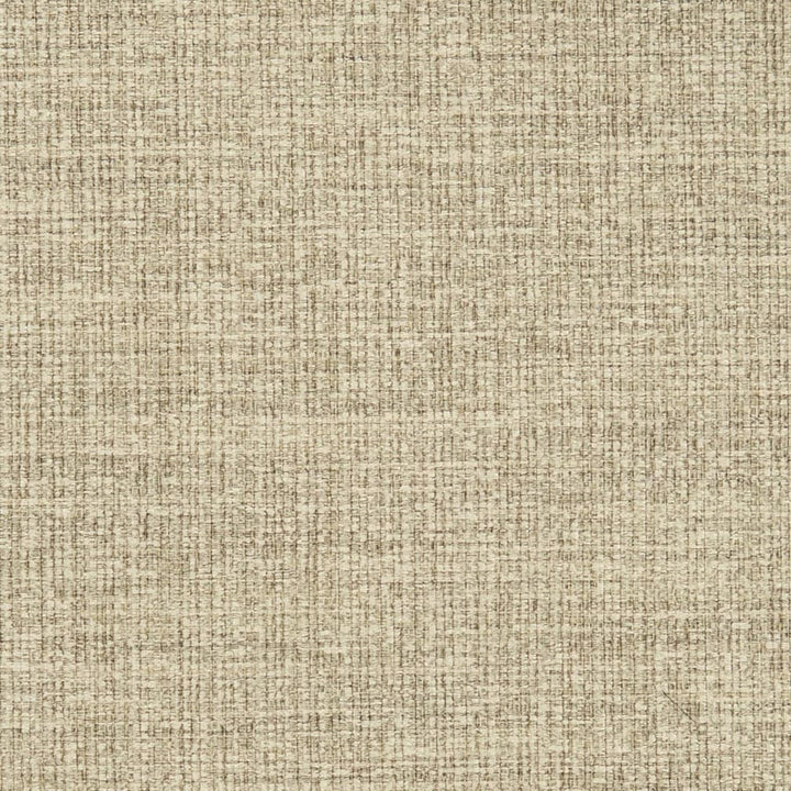 D3013 Oatmeal by Charlotte Designer Fabric Chenille III 100% Polyester Asia Exceeds 30,000 Wyzenbeek Rubs (Heavy Duty) </p><p>Repeat: No Repeat 54 Inches - Swanky Fabrics -