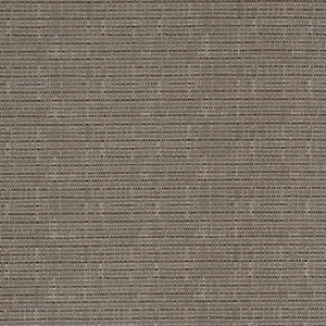 D3081 Gun Metal by Charlotte Designer Fabric
