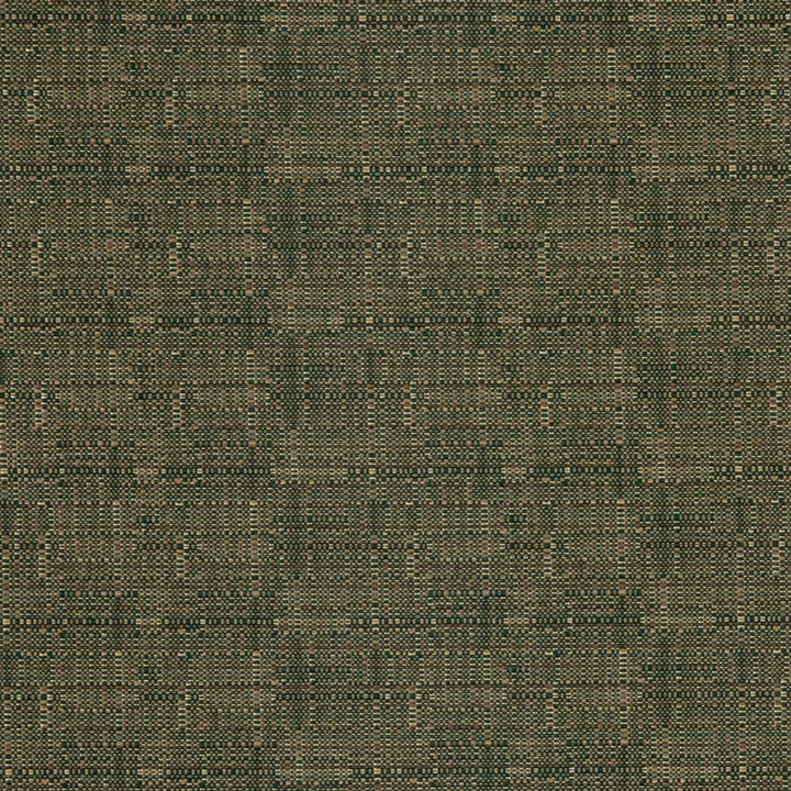D3084 Pistachio by Charlotte Designer Fabric Durables IV 67% Olefin, 33% Polyester Made In USA Exceeds 100,000 Wyzenbeek Rubs (Heavy Duty) </p><p>Repeat: No Repeat 54 Inches - Swanky Fabrics -