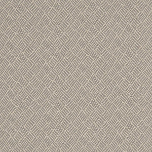 D3093 Silver by Charlotte Designer Fabric