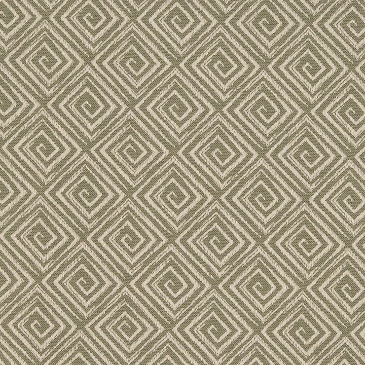D3174 Sprout by Charlotte Designer Fabric Durables IV 100% Polyester Made In USA Exceeds 20,0000 Wyzenbeek Rubs (Heavy Duty) </p><p>Repeat: Horizontal 3" x Vertical 3" 54 Inches - Swanky Fabrics -
