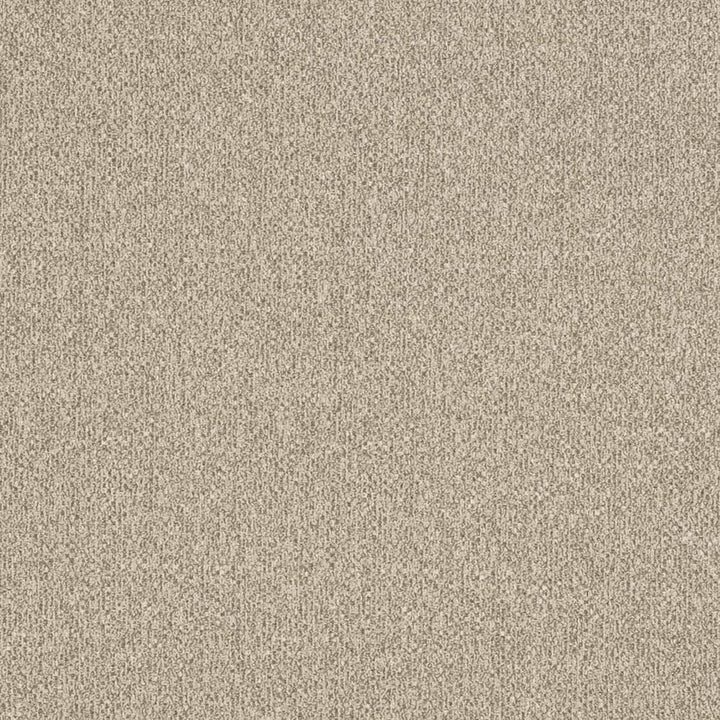 D3241 by Charlotte Designer Fabric Old World Classics II 100% Polyester Spain Exceeds 42,000 Wyzenbeek Rubs (Heavy Duty) No Repeat 54 Inches - Swanky Fabrics -