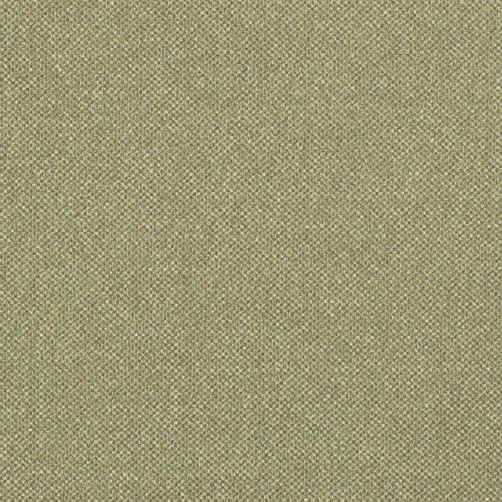 D3244 by Charlotte Designer Fabric Old World Classics II 100% Polyester Spain Exceeds 42,000 Wyzenbeek Rubs (Heavy Duty) No Repeat 54 Inches - Swanky Fabrics -