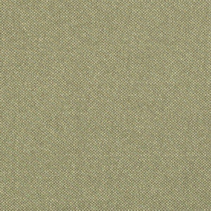 D3244 by Charlotte Designer Fabric