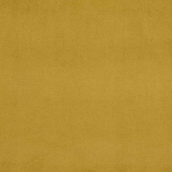 D325 Antique by Charlotte Designer Fabric Old World Classics 100% Woven Polyester Asia Exceeds 200,000 Wyzenbeek Rubs (Heavy Duty) No Repeat 54 Inches - Swanky Fabrics -